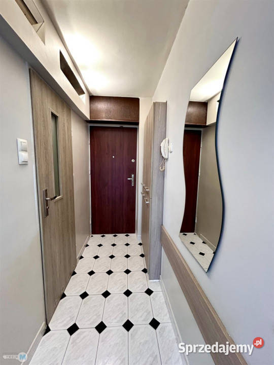 sprzedaży mieszkania 309m2 1 pokojowe Kielce 30.9m2