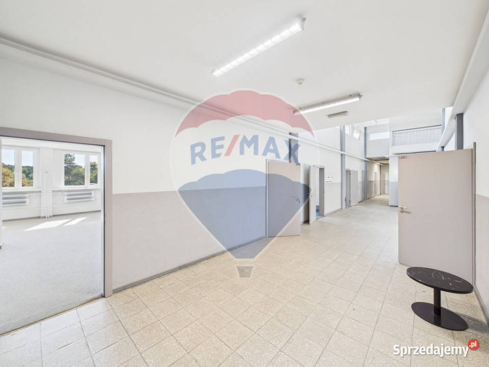Biuro 416 m z windą i parkingiem Rybnik