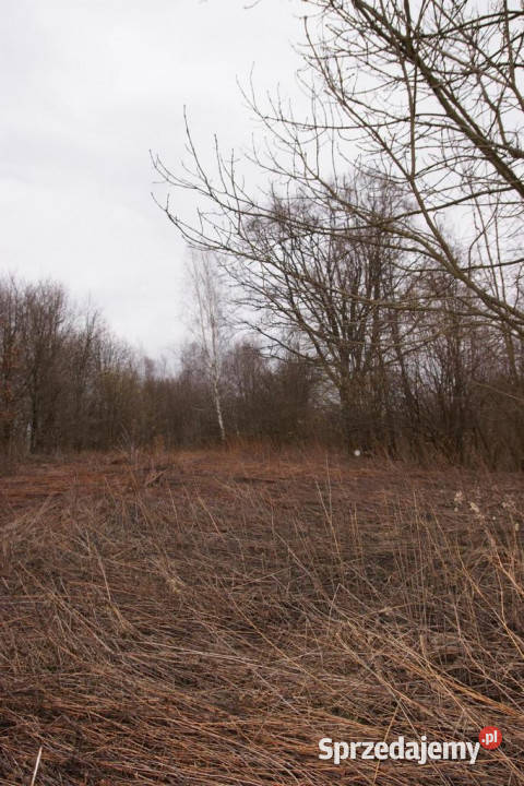 Rolnobudowlana działka w Kazimierzu Dolnym 16m Kazimierz Dolny