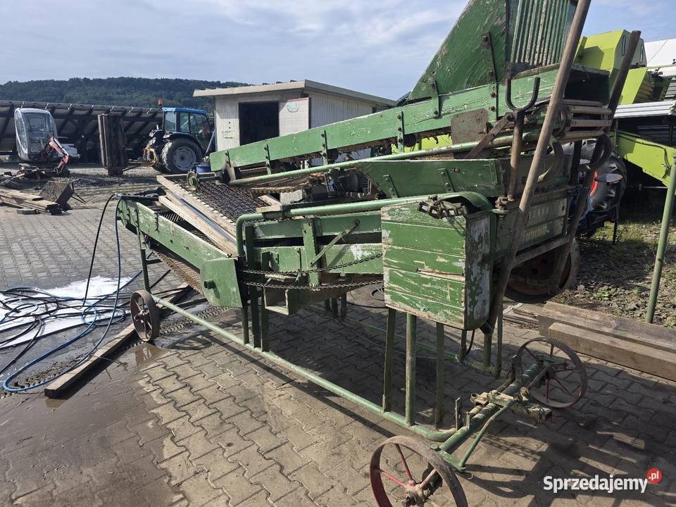 Sortownik do ziemniaków Amazone z podajnikiem