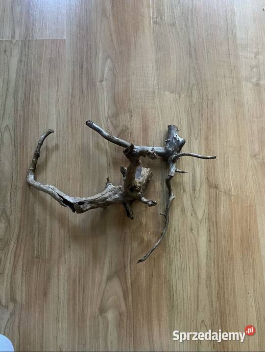 Sprzedam korzeń do akwarium Szczecin