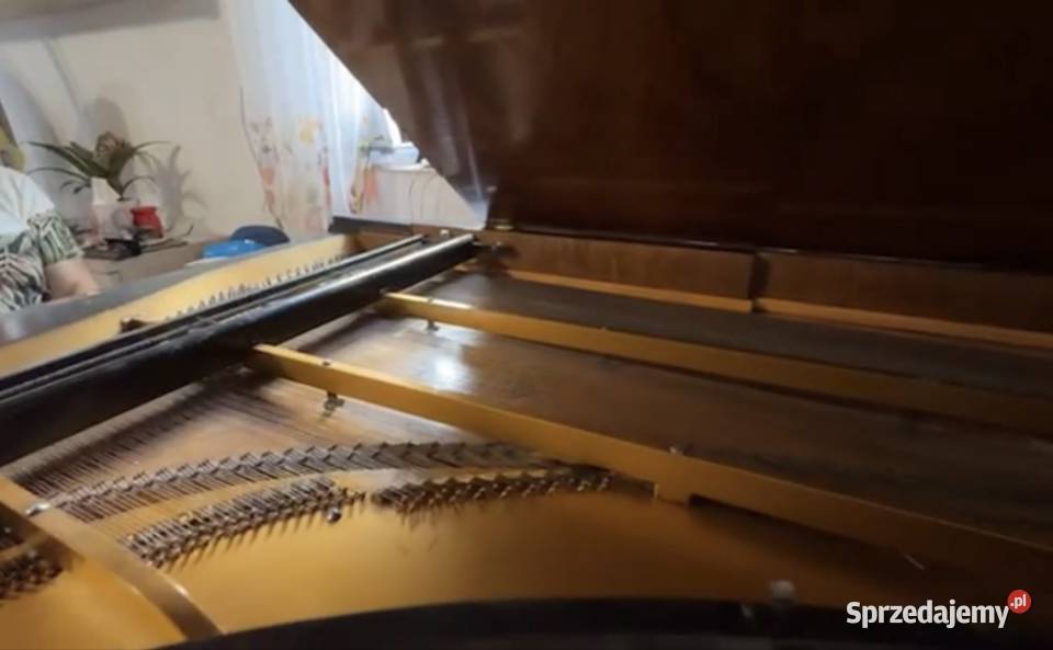 Fortepian Wiedeński Sprawny grający Lubochnia