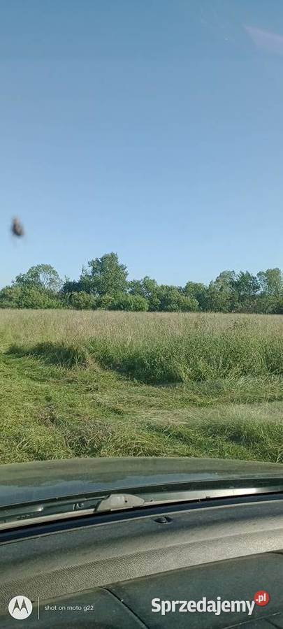 Sprzedam Siano Białogard