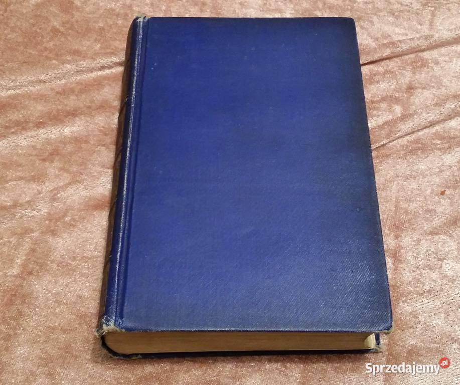 Książka Charles Dickens Dombey And Son język