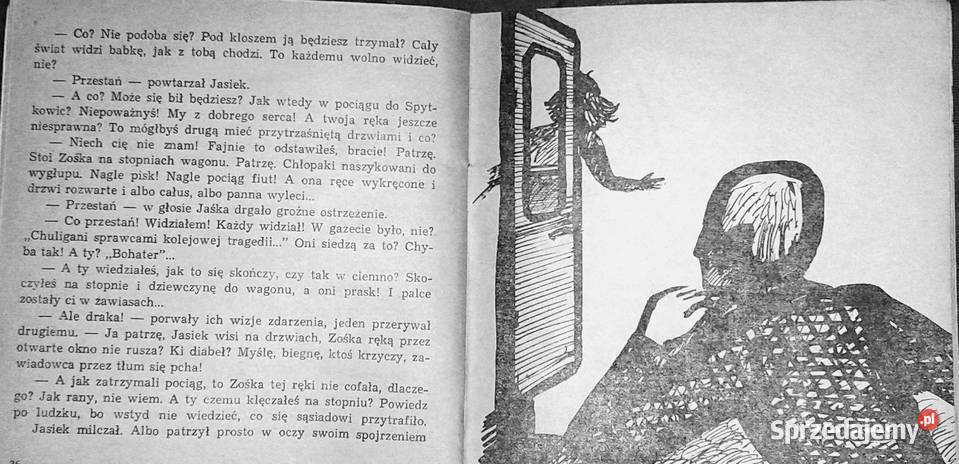 Szczenięca miłość Janina Barbara Górkiewiczowa Chełm