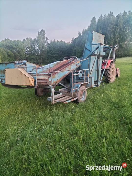 Kombajn do ziemniaków Bolko Krajno-Parcele