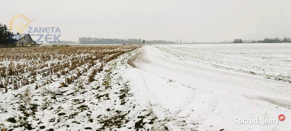 Sprzedam działkę o pow 4606 m2 w Leonowie w mazowieckie Leonów