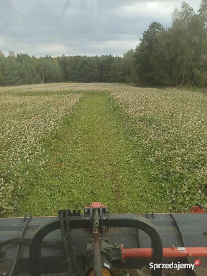 Mulczowanie wykaszanie nieużytków poplonów śląskie Kłomnice