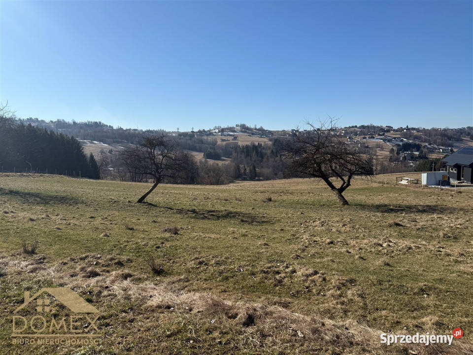 Grunt Istebna 2401m2 sprzedam