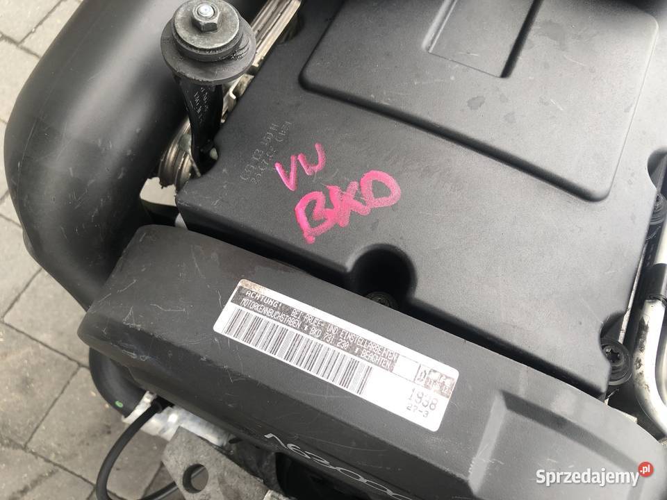 Silnik Kompletny 20 Tdi Bkd Audi Vw Seat Skoda 4 Dobra Nadzieja sprzedam