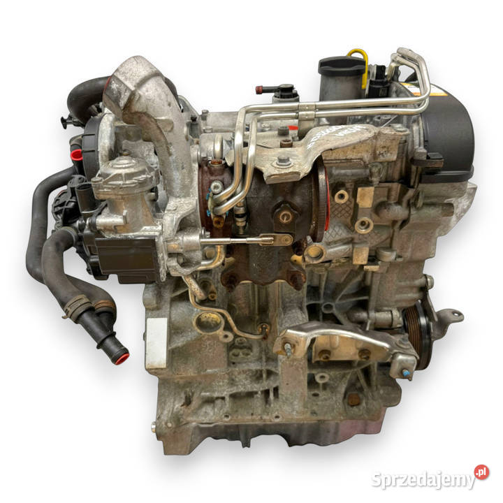SILNIK CJZ CJZA Audi A3 II 8V Seat Leon II VW osobowe Chełm