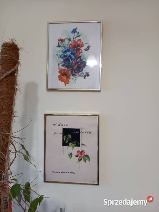 Zestaw obrazów w ramkach szkłem kwiaty pejzaż Gliwice sprzedam