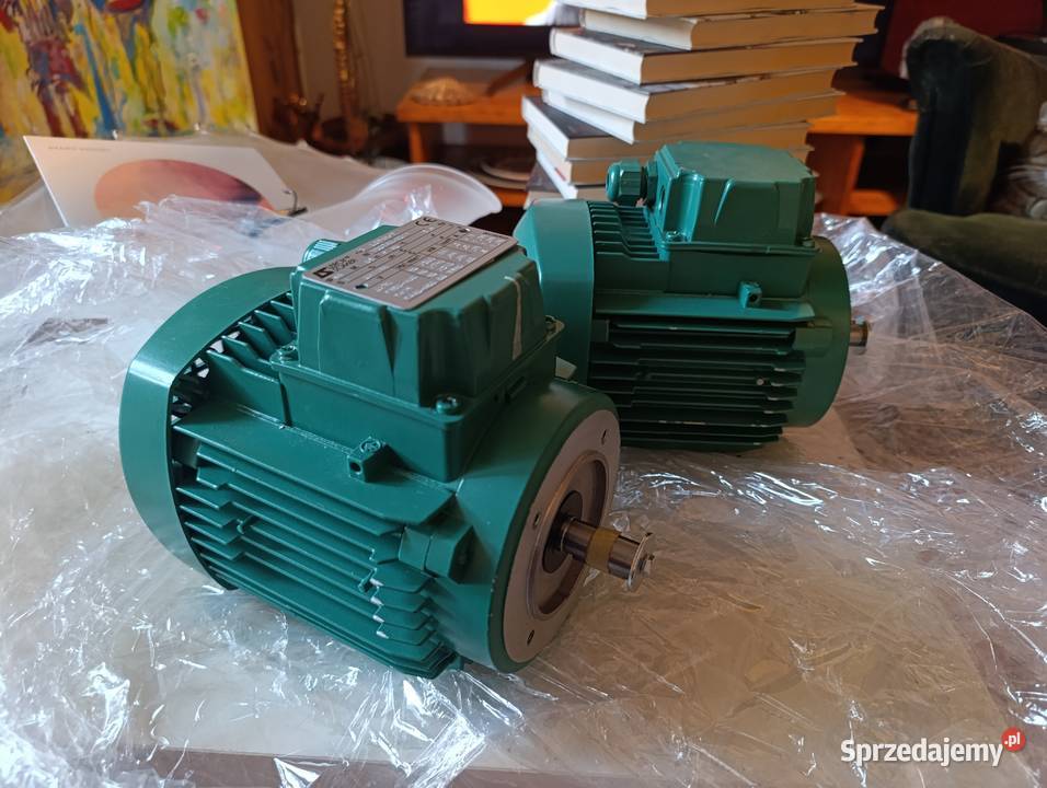 silniki elektryczne marki LeroySomer konkretnie Gdynia sprzedam