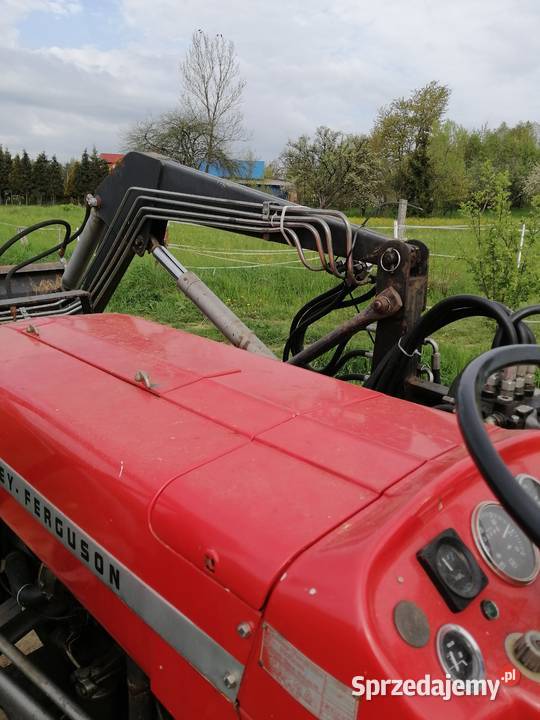 Massey ferguson 135 na zabytek do rej stan nieuszkodzony Ladzin