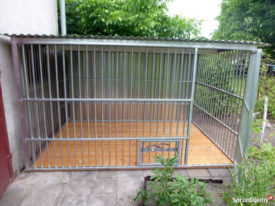 KOJEC PSA ZAGRODA PSA KOJCE NA WYMIAR PRODUCENT Warszawa