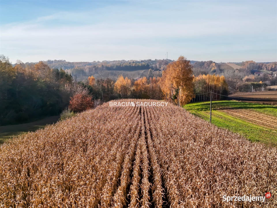Grunt Przesławice 6000m2