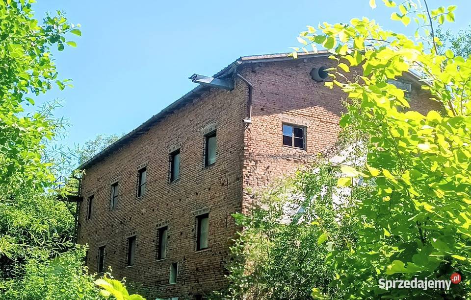 HISTORYCZNY MŁYN Z POTENCJAŁEM NA WARMII   2ha