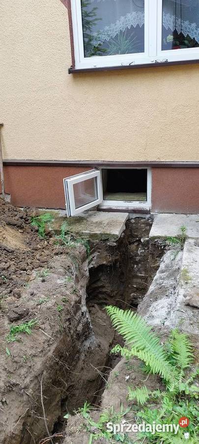 Usługi Ogrodnicze Koszenie trawników Busko-Zdrój