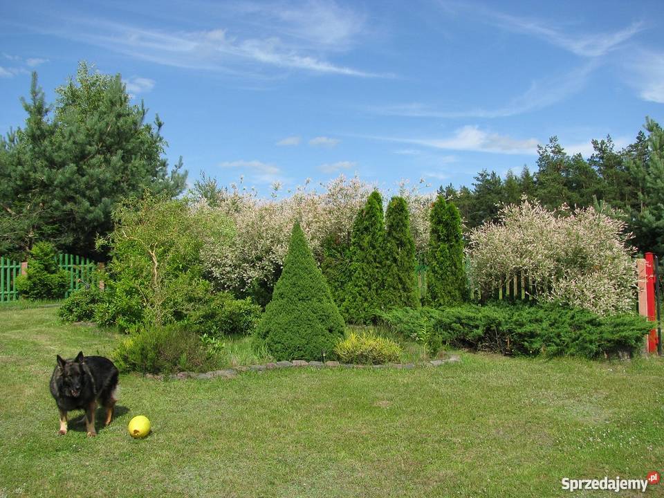 Dom jeziorem na Kaszybach Chrztowo strych pomorskie
