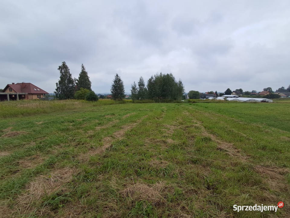 Opole Lubelskie 124 ha malownicza okolica