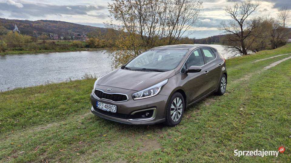 Kia Ceed 16 benzyna bezwypadkowy salon polska Jawornik Polski