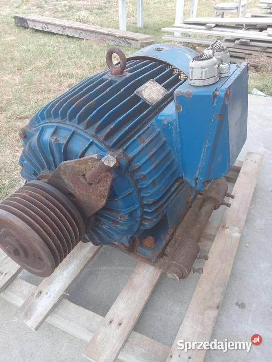 Silnik 55 kw Kochanowo