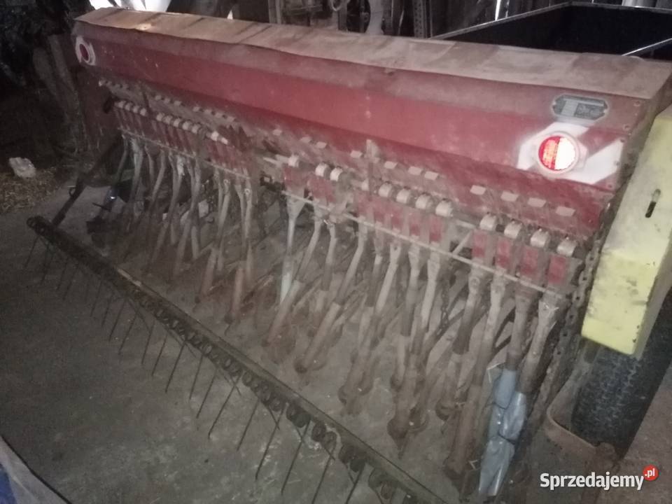 Siewnik poznaniak Mosina