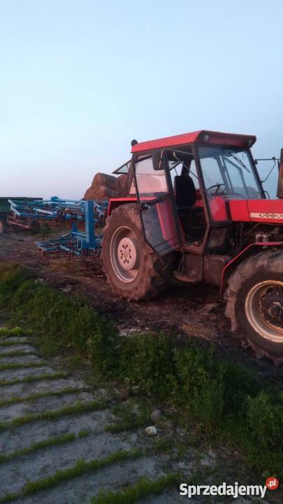 Sprzedam Ursus 1614Turbo szybka skrzynia Sędziszów