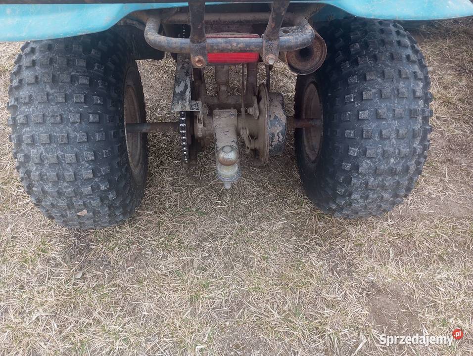 Quad Suzuki 160 wielkopolskie Buk