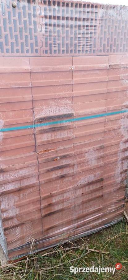 Pustak czerwony Protherm Rokitno