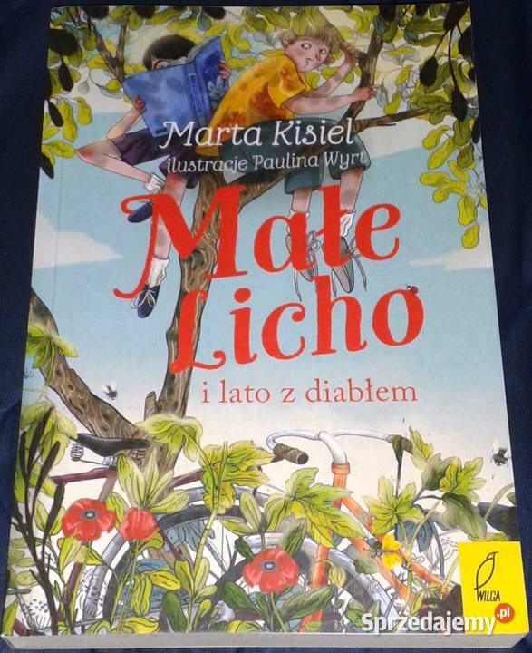 Małe Licho i tajemnica Niebożątka Marta Kisiel Chełm