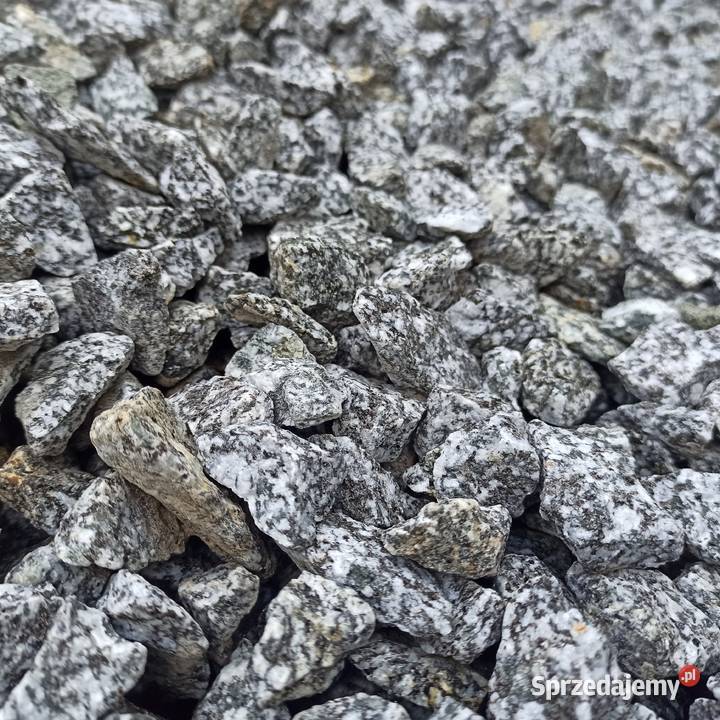 Grys Granitowy Dalmatian szary Kamień ozdobny Jaworzno