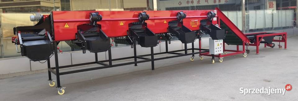 Automatyczny Sortownik do czosnku sprzedam