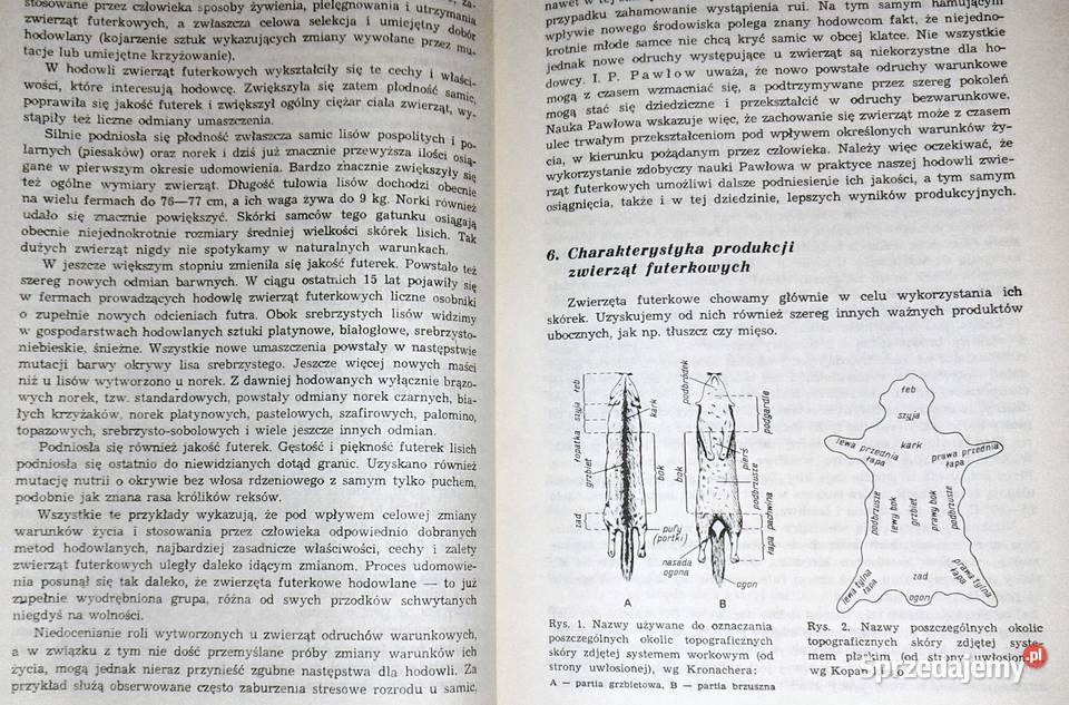 Hodowla zwierząt futerkowych Władysław Herman miękka Chełm sprzedam
