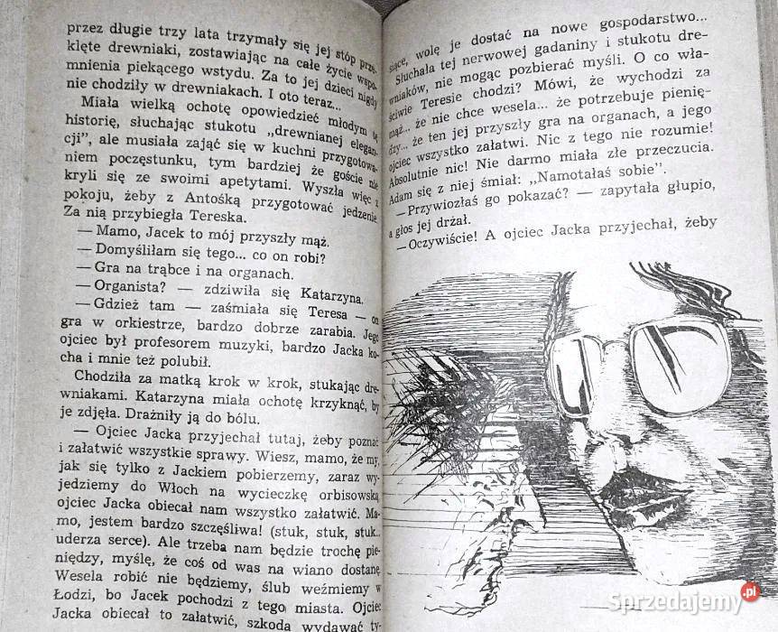 Drewniaki Maria Siedmiograj Chełm sprzedam