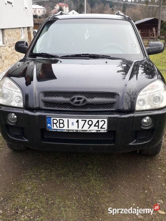 Hyundai Tucson 4x4 2006 Ustrzyki Dolne
