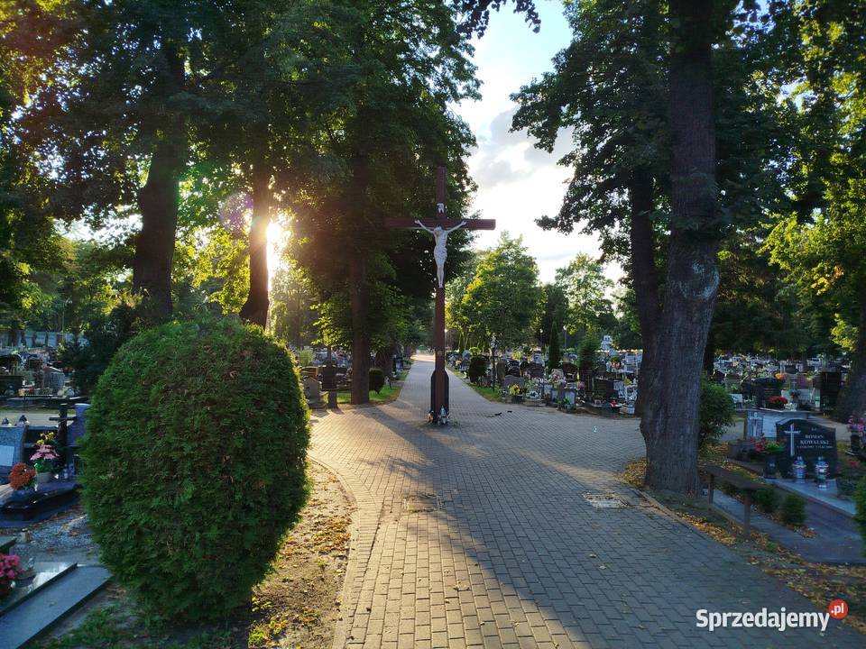 Sprzątanie grobów grobu Wrocław cmentarz ulicy