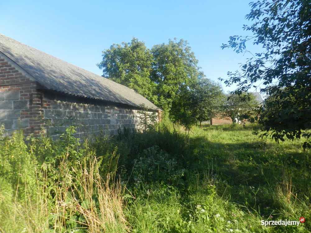 Dom działka Niewirków drewno Domy Niewirków