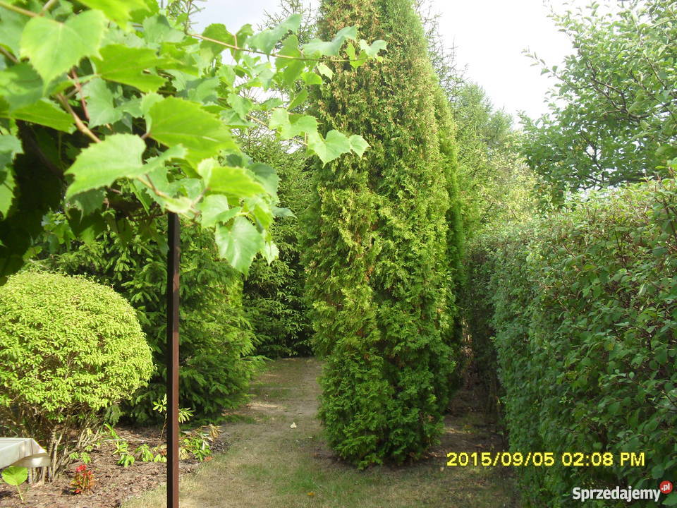 Sprzedam działkę rekreacyjną mazowieckie sprzedam