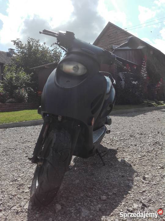 Kingway Koyot lubelskie Zakrzówek