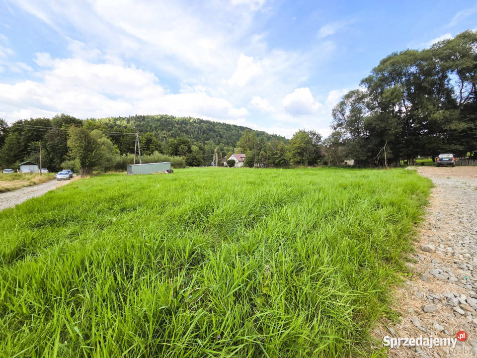 Działka Lachowice 3137m2 Sprzedaż