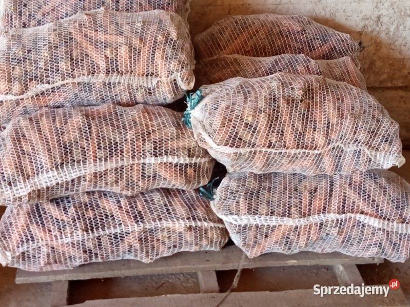 Marchew jadalna zwierząt sprzedam