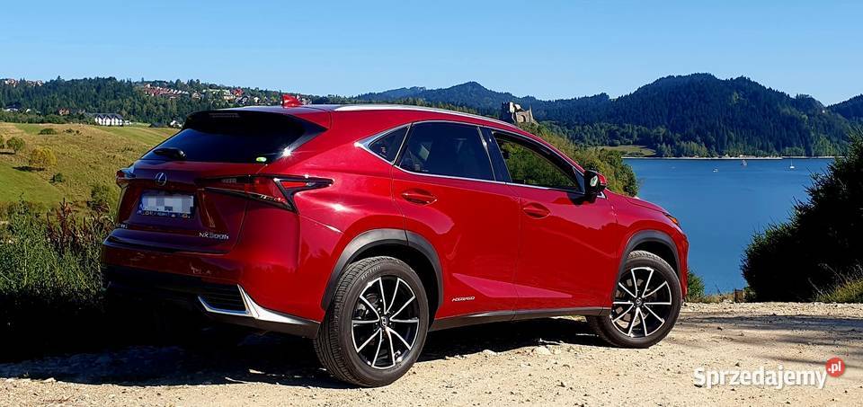 Piękny LEX PoLIFT Hybryda Gwarancja ASO łopatki zmiany biegów NX Nowy Sącz