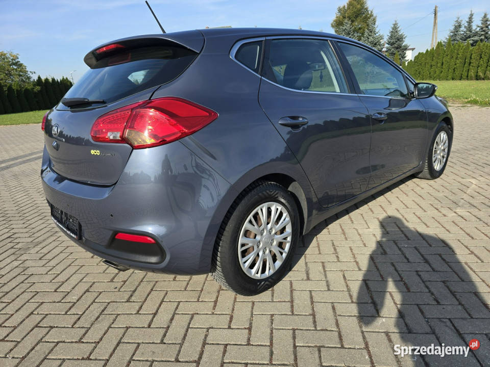 Kia Ceed 16Benzyna czujnik parkowania