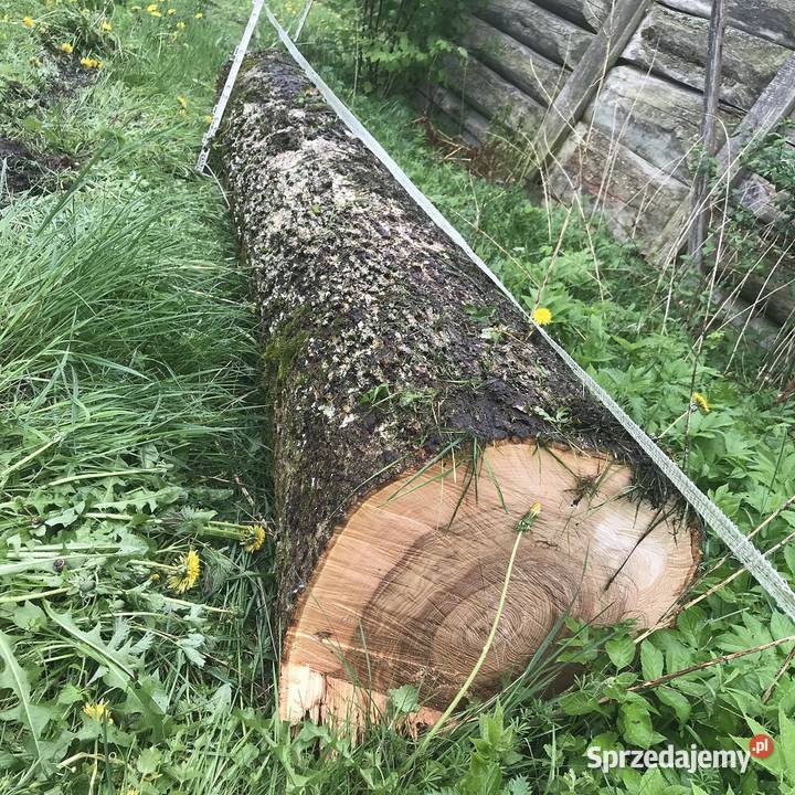 Drewno kominkowe opałowe budulec dł Jesion Dąb podlaskie Zabłudów
