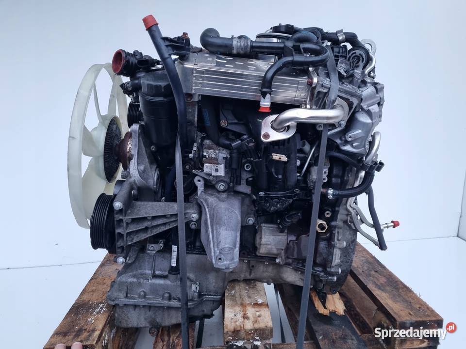 SILNIK KOMPLET Mercedes Vito W639 ładnie pracuje lubelskie Chełm