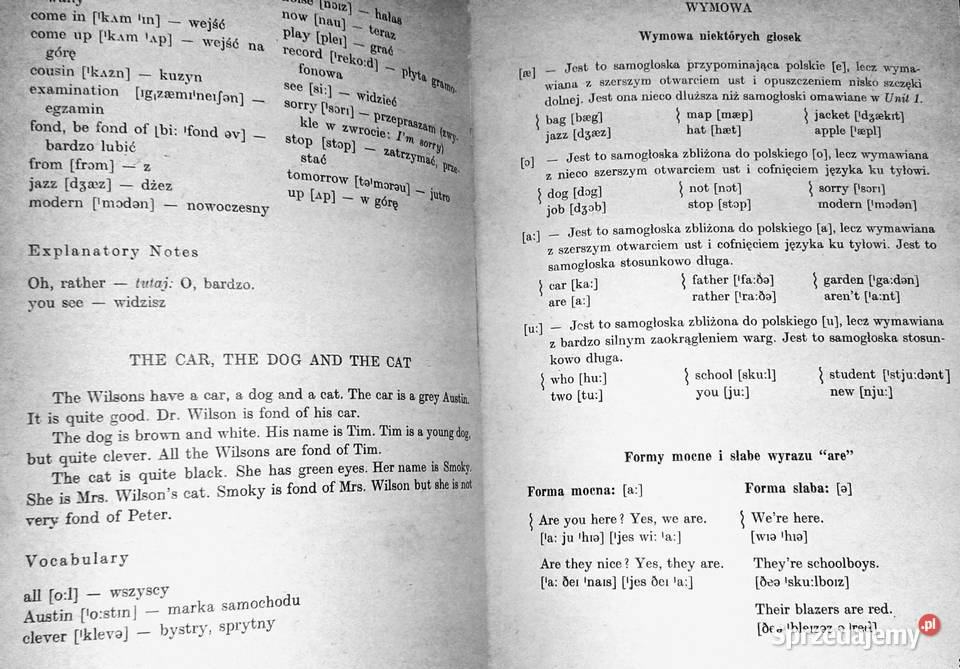 We learn english kl 1 LO Anna Zawadzka Janina Chełm