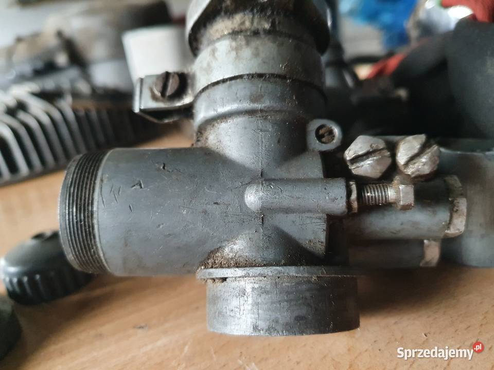 Pannonia gaźnik panonia Gaźniki pomorskie Łebno