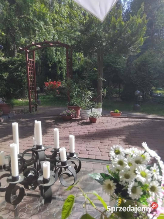 Dom z dużą działką Wola Pieczyska