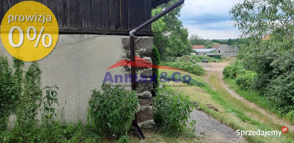 Dwa domy gotowy biznes Strzelniki